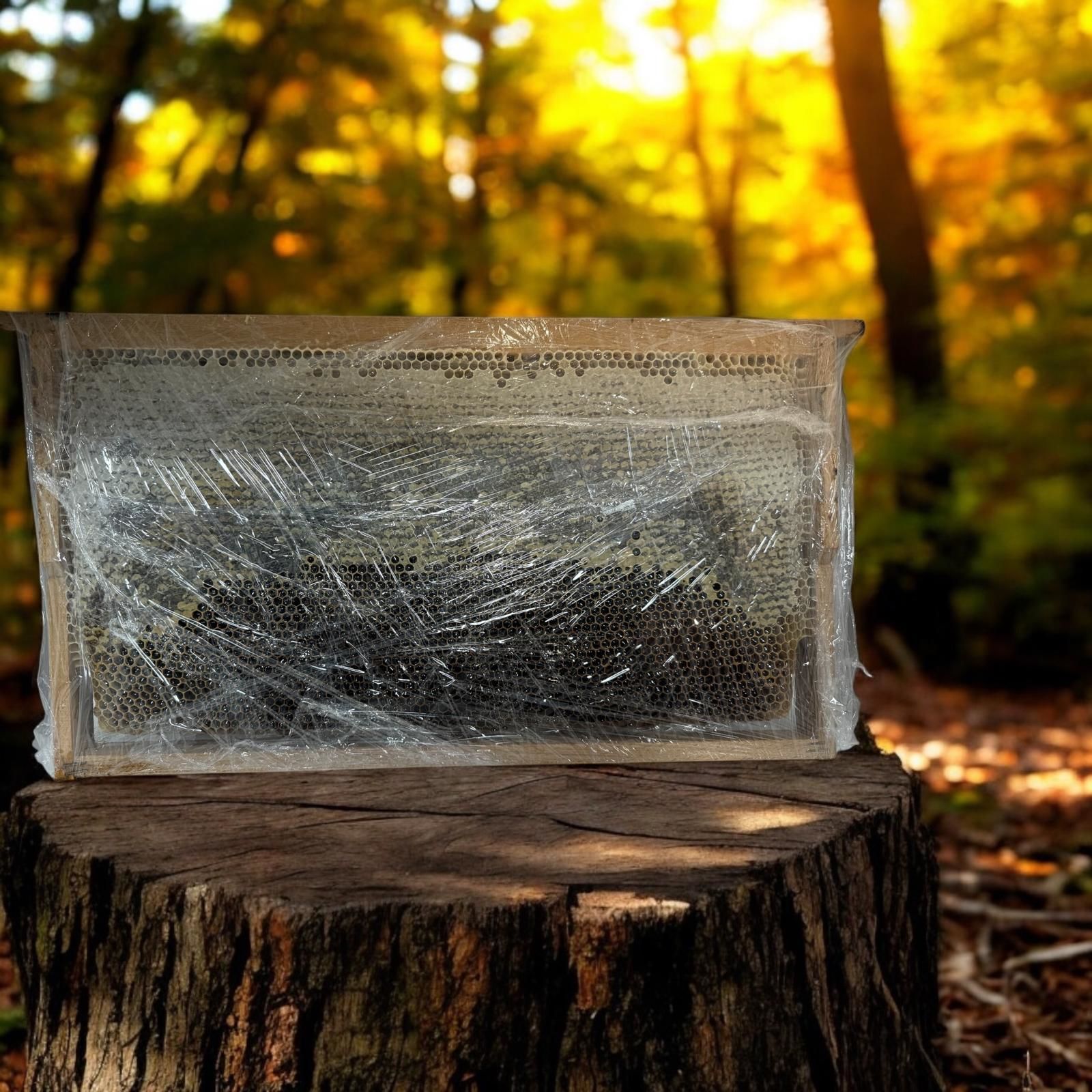 PETEKLİ KESTANE BALI 3 KG